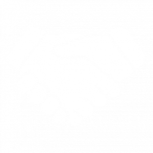 handschlag (14)